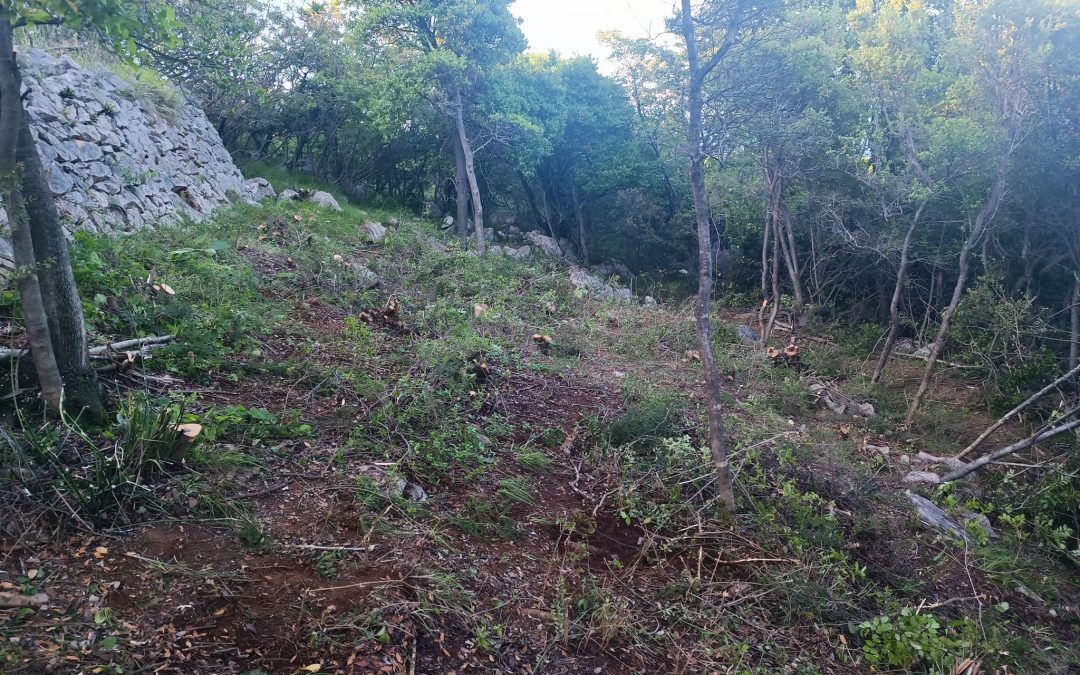 Čišćenje parcele u Brseču