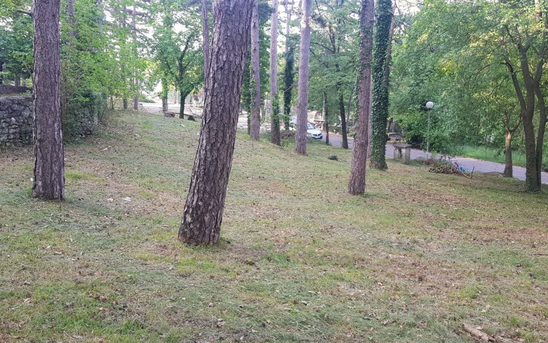Košnja trave u Ad Turresu