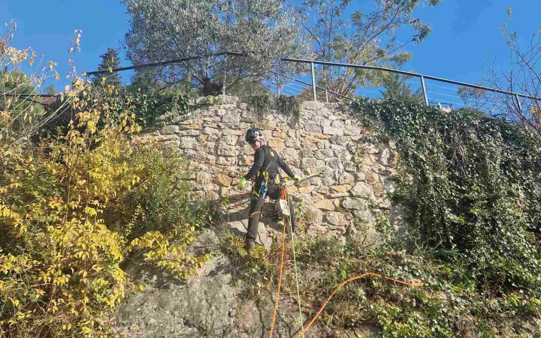 Čišćenje okućnice Rijeka