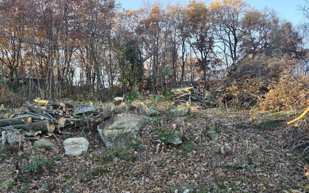 Čiščenje parcele u Gračišću pored Pazina