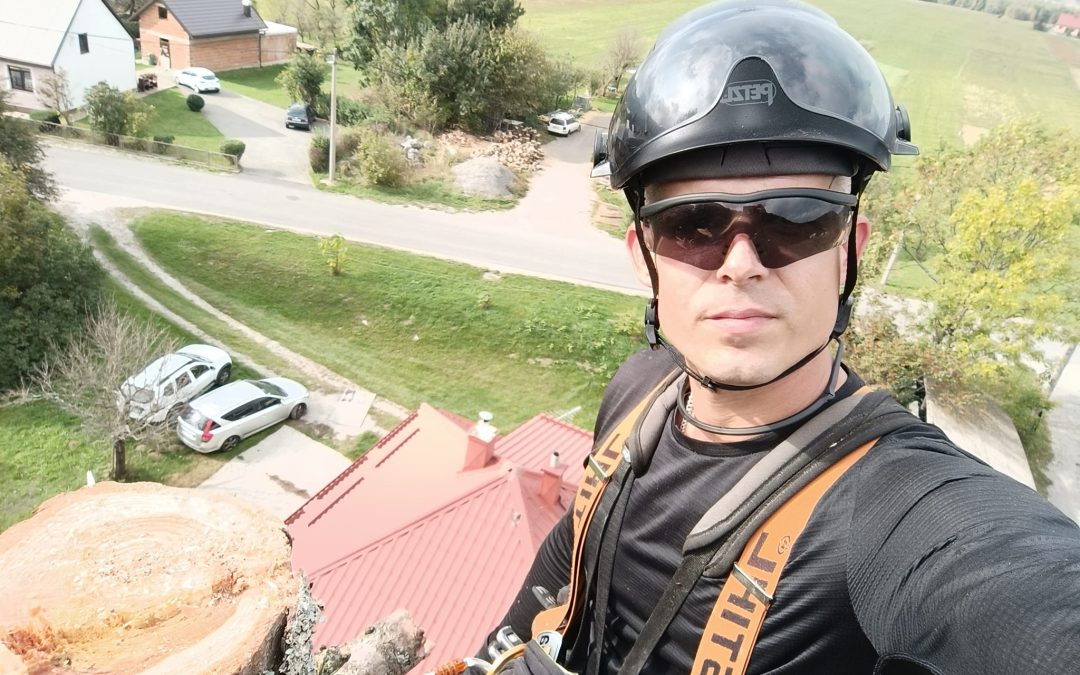 Piljenje ariša u Liču