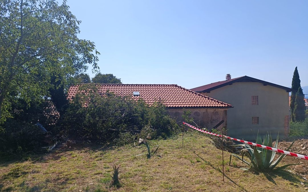 Piljenje stabla u Kostreni