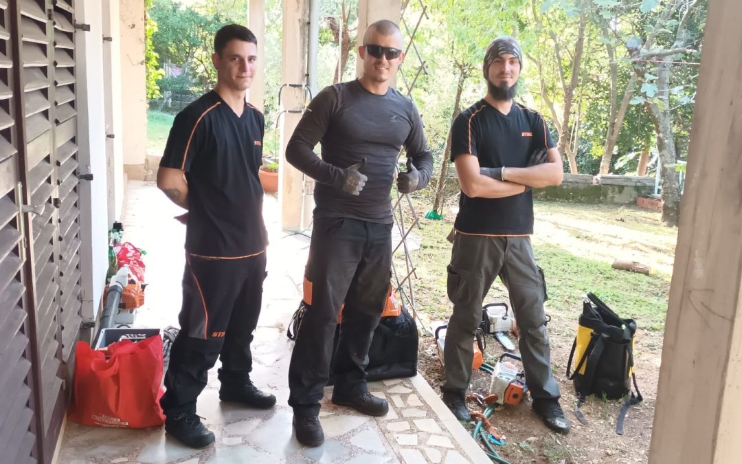 Uklanjanje čempresa i cedra u Selcima koje su napali nametnici