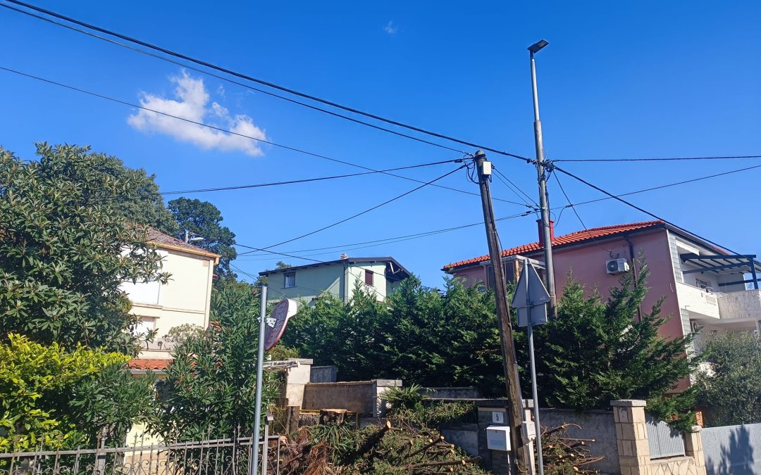 Uklanjanje dva čempresa u Kostreni