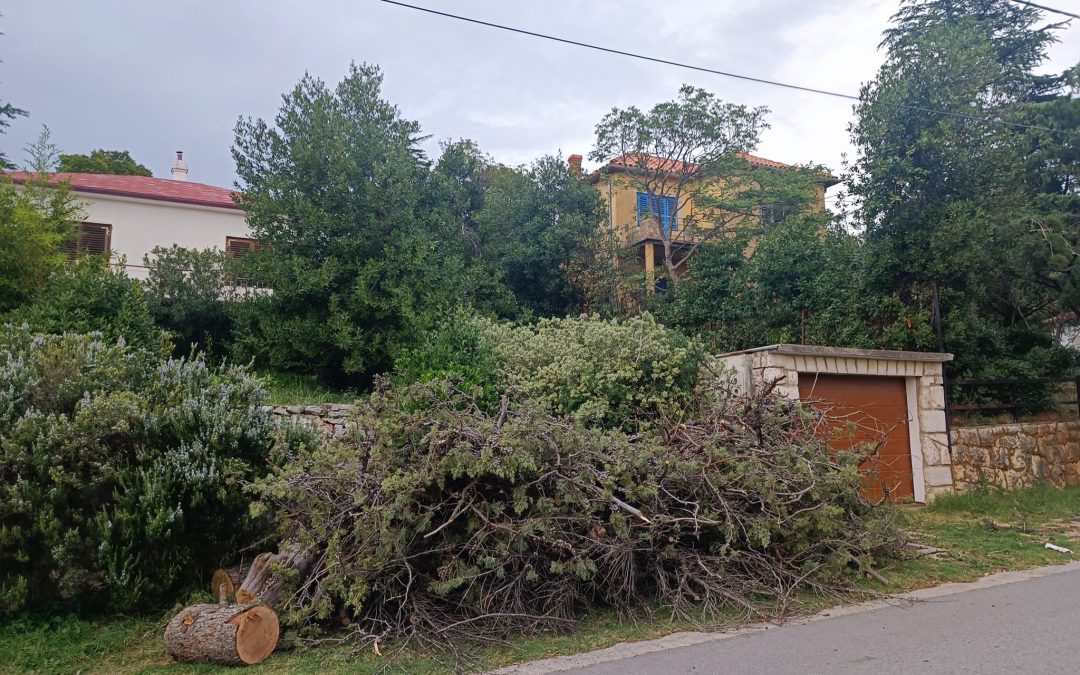 Uklanjanje tri crnogorična stabla u Novom Vinodolskom