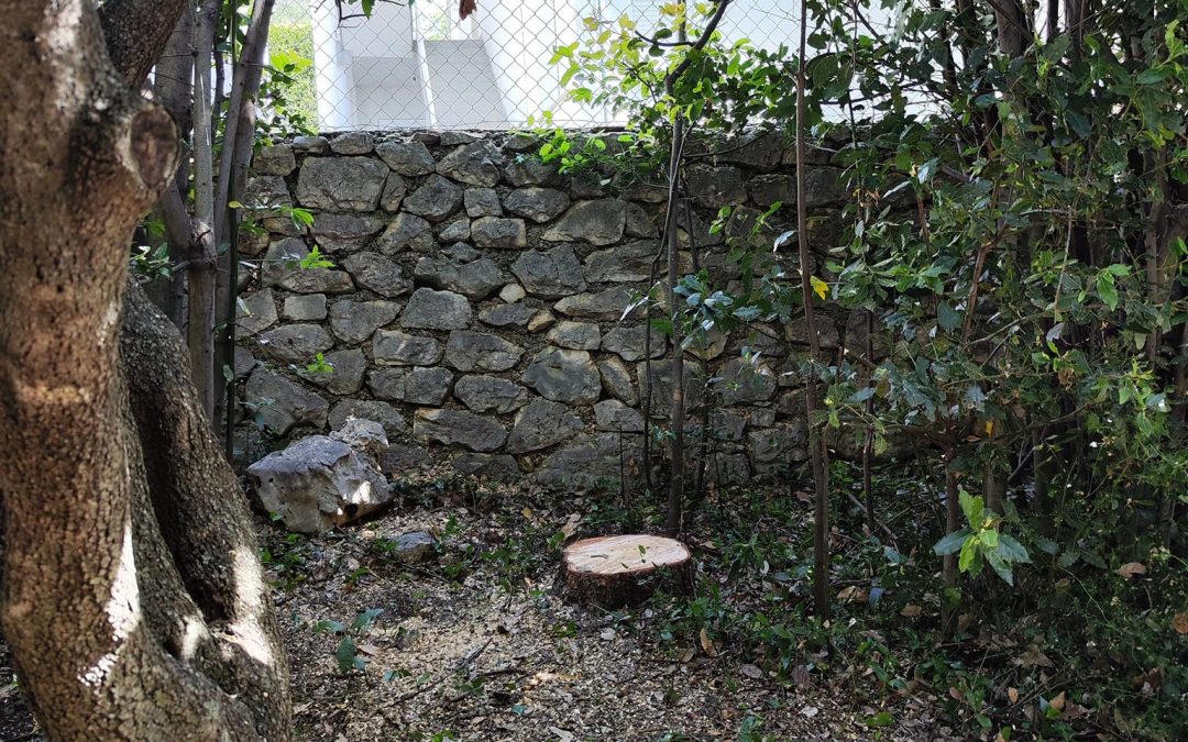 Uklanjanje suhog cendra u Novom Vinodolskom