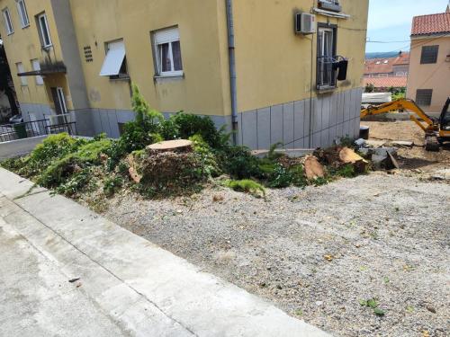 kontrolirano piljenje drveca