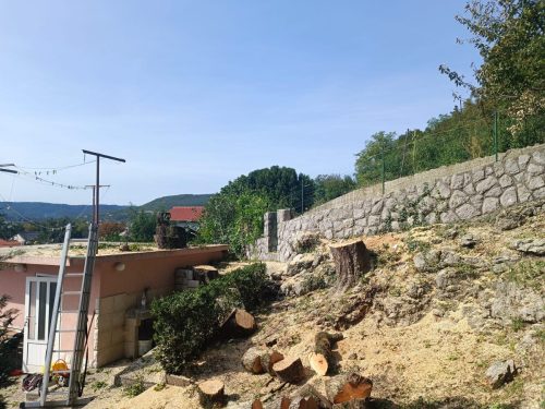 Cetiri-naizgled-lijepa-i-cvrsta-klena-u-Drazicama-4