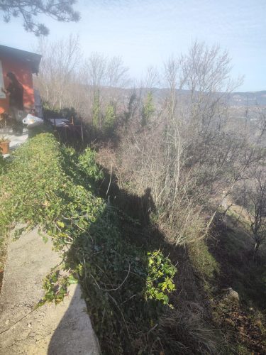 Ciscenje-parcele-u-Sovinjaku-3