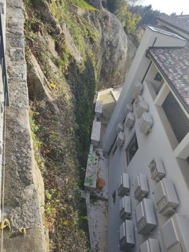 Čišćenje-okućnice-Rijeka-3