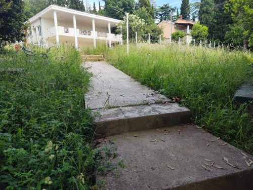 Kosnja-Delfina-u-Omislju-3
