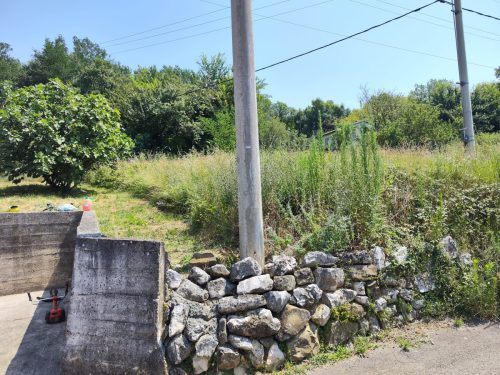 Kosnja-i-krcenje-sikare-u-Bribiru-3