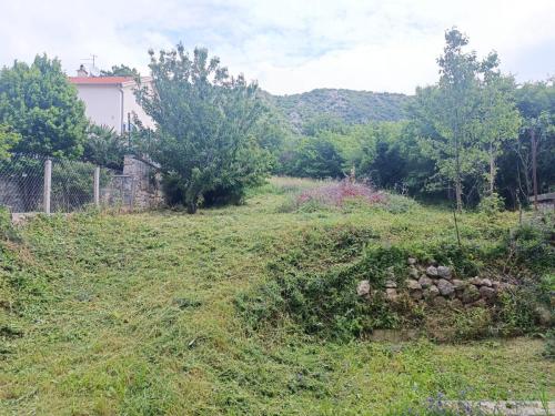 Kosnja-u-Lukovu-2