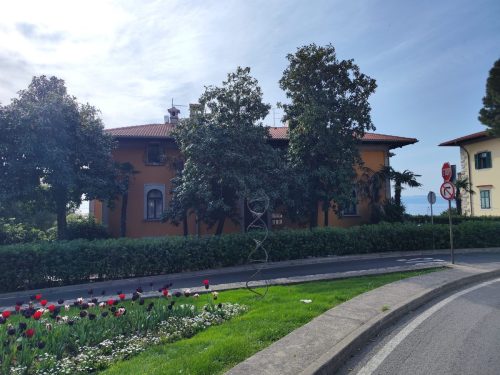 Orezivanje-dvije-magnolije-u-Voloskom-2