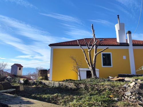Orezivanje-murve-na-Hreljinu-7