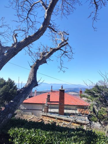 Orezivanje-oraha-na-Hreljinu-po-zelji-vlasnika-5