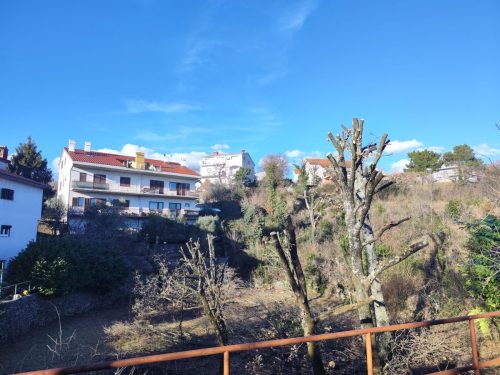 Orezivanje-tridesetak-stabala-na-Drenovi-2