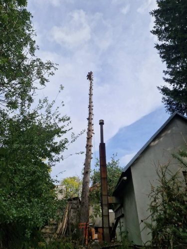 Piljenje-arisa-u-Licu-5