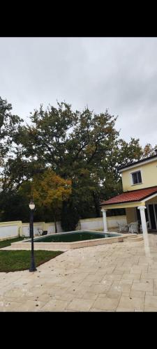 Piljenje-hrasta-u-Grižanama-1