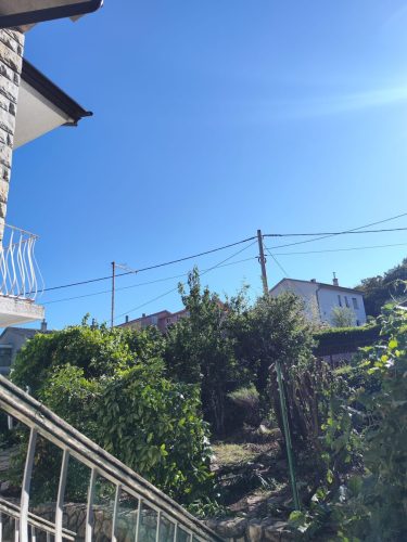 Piljenje-lovora-i-tresnje-na-Vezici-4