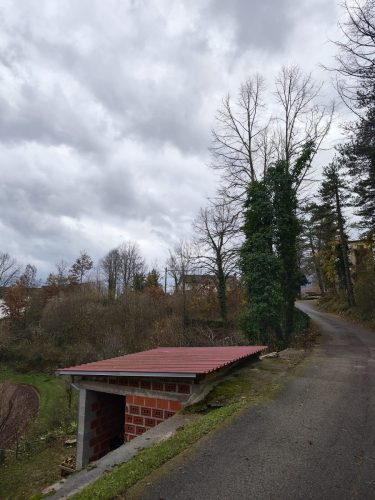 Piljenje-tri-lipe-u-Velom-Brgudu-2