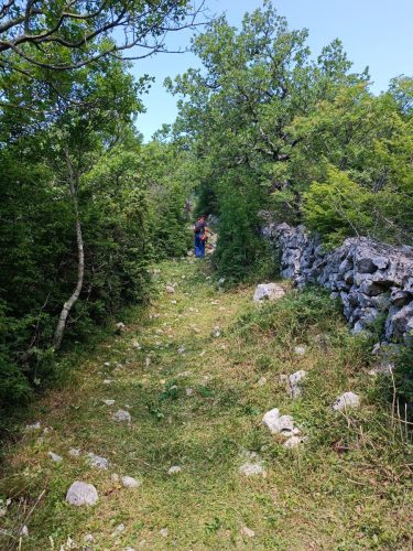 Uredenje-planinarskih-staza-u-Crikvenici-15