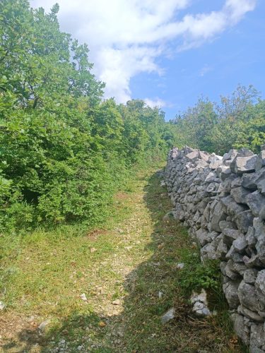Uredenje-planinarskih-staza-u-Crikvenici-21