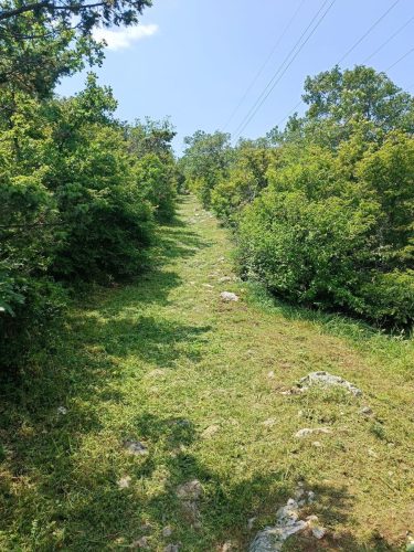 Uredenje-planinarskih-staza-u-Crikvenici-6