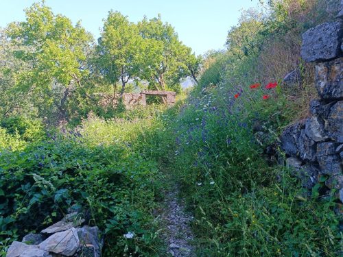 Uredenje-planinarskih-staza-u-Crikvenici-7