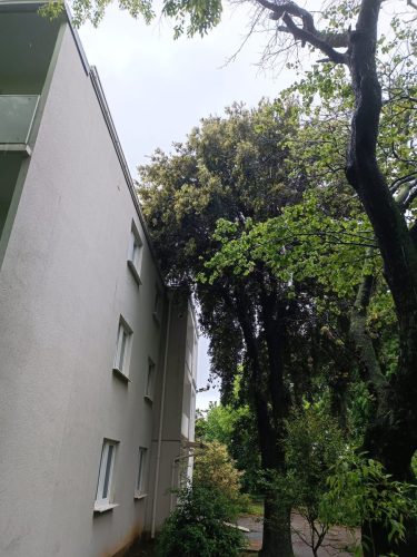 Uredivanje-prenocista-Lucija-u-Kostreni-1