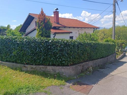 Uredivanje-zivice-na-Viskovu-4