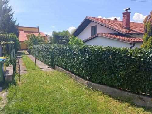 Uredivanje-zivice-na-Viskovu-6